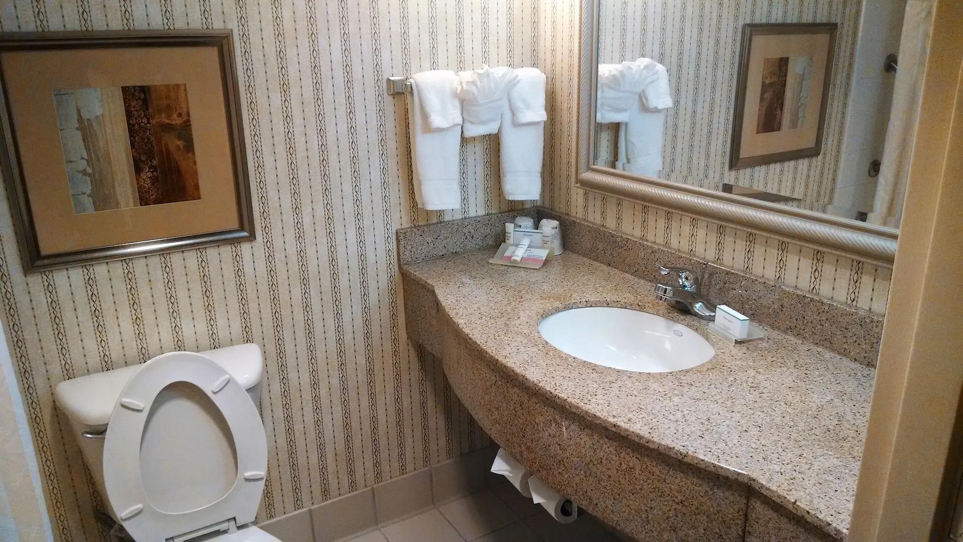 Hilton Garden Inn Nashville Airport Hotel